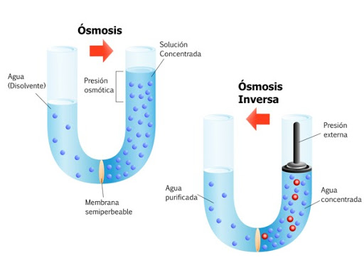 Resultado de osmosis inversa