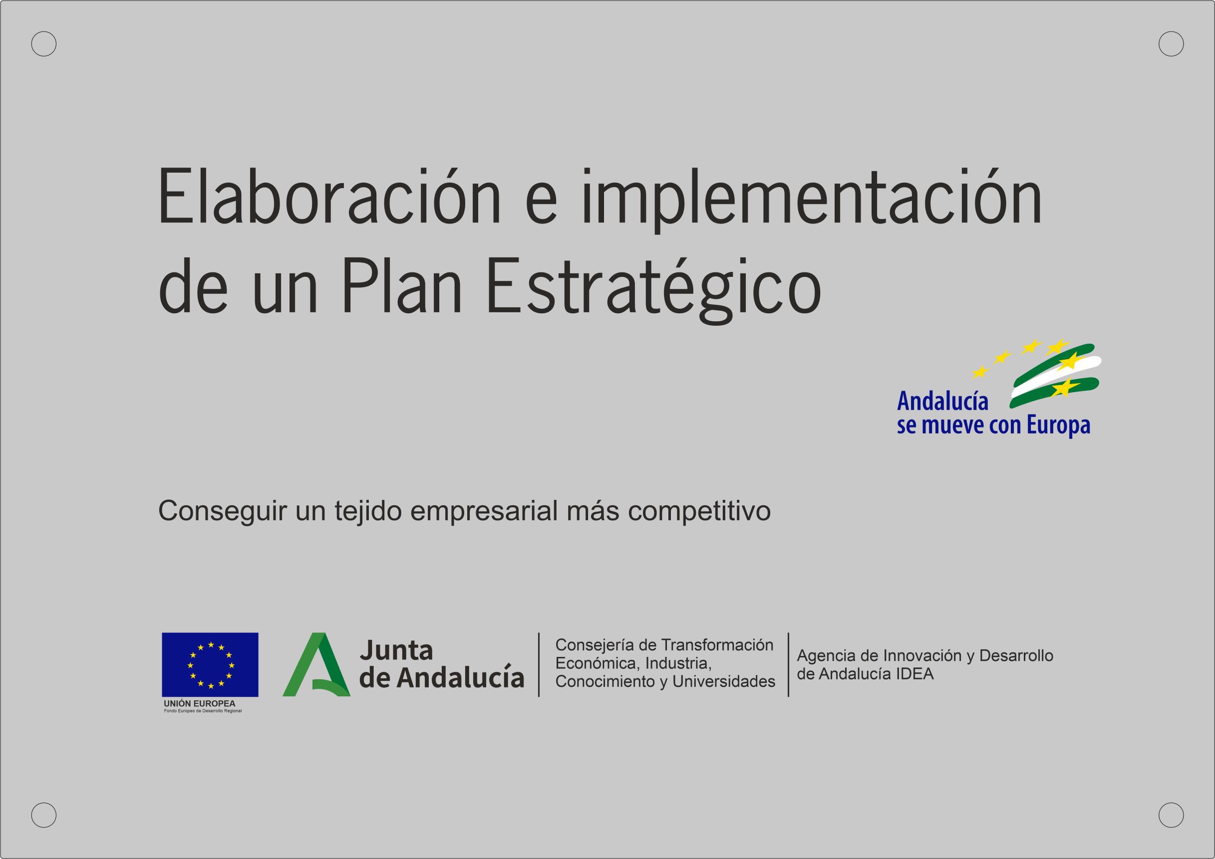 Elaboración e implementación de un Plan Estratégico