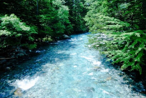 Una corriente de agua natural