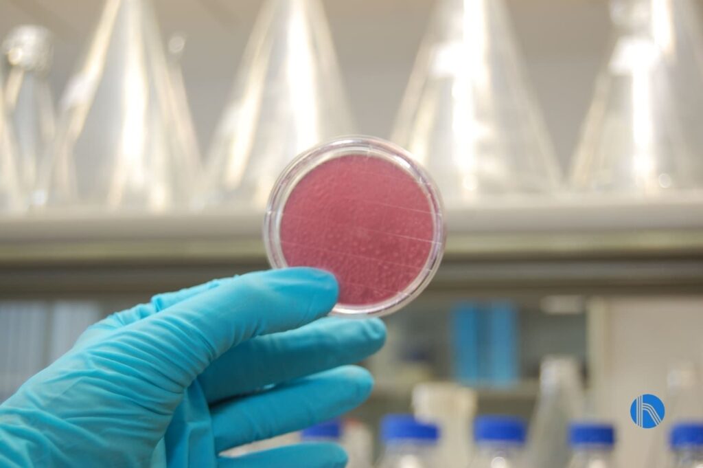 Chemical service for industrial water