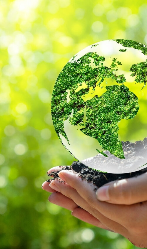 Dia Mundial Medioambiente