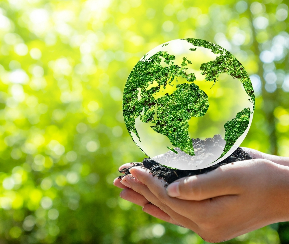 Dia Mundial Medioambiente